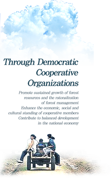 Through Democratic Cooperative Organizations - Promote sustained growth of forest resources and the ratonalization of forest management Enhance the economic, social and cultural standing of cooperative members Contribute to balanced development in the national economy