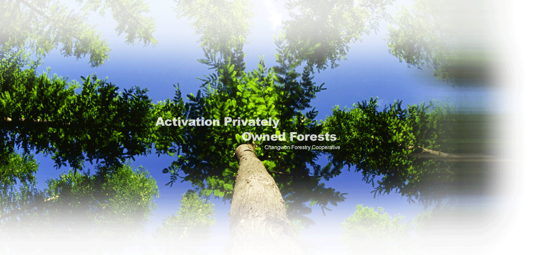 Activation Privately Owned Forests Changwon Forestry Cooperative