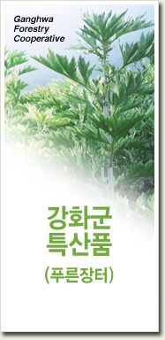 ȭƯǰ (Ǫ)