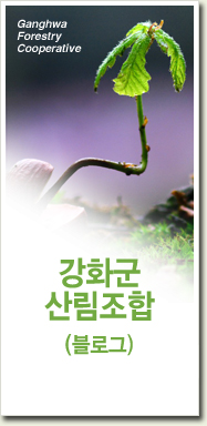 ȭ긲 α