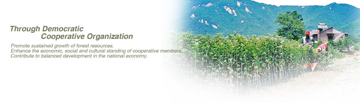 Through Democratic Cooperative Organization - Promote sustained growth of forest resources. Enhance the economic, social and cultural standing of cooperative members. Contribute to balanced development in the national economy.