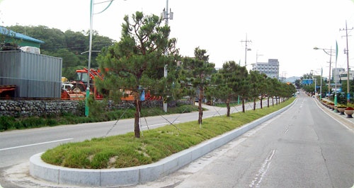 2009년 도시숲조성사업