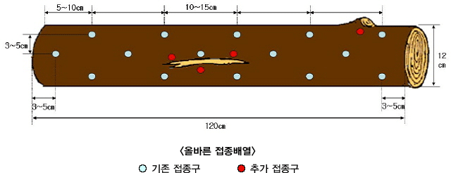 올바른접종배열