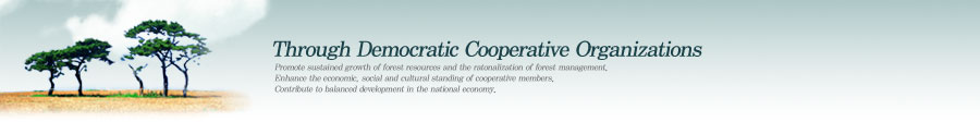 Through Democratic Cooperative Organizations - Promote sustained growth of forest resources and the ratonalization of forest management. Enhance the economic, social and cultural standing of cooperative members. Contribute to balanced development in the national economy.