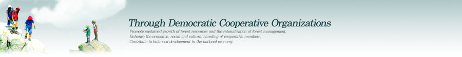 Through Democratic Cooperative Organizations - Promote sustained growth of forest resources and the ratonalization of forest management. Enhance the economic, social and cultural standing of cooperative members. Contribute to balanced development in the national economy.