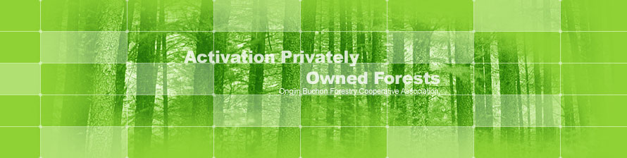 Activation Privately Owned Forests Ongjin Buchon Forestry Cooperative Association