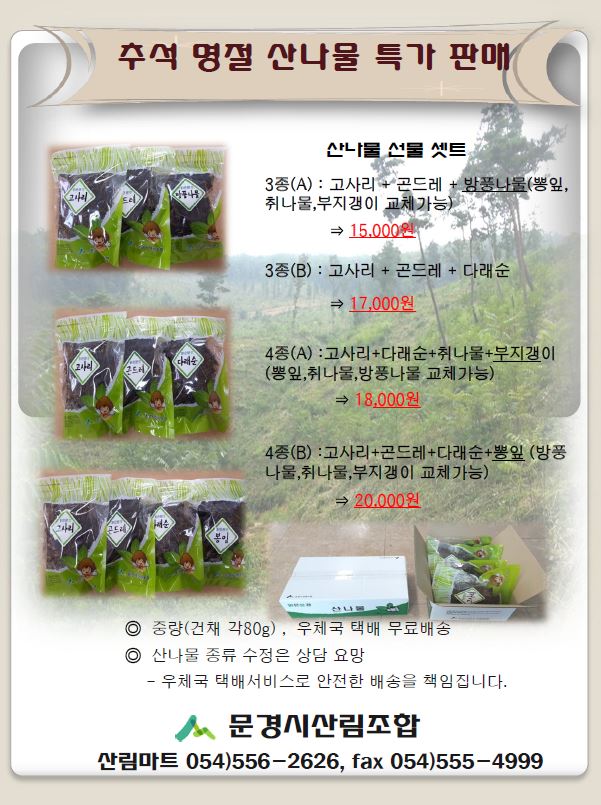 ߼ 곪Ʈ ƯǸ ȳ