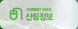FOREST INFO 긲
