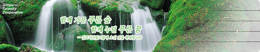 Բ  Ǫ  Բ  Ǫ  - û긲տ   ȯմϴ.