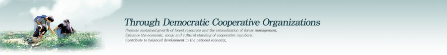 Through Democratic Cooperative Organizations - Promote sustained growth of forest resources and the ratonalization of forest management. Enhance the economic, social and cultural standing of cooperative members. Contribute to balanced development in the national economy.