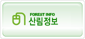 FOREST INFO 긲