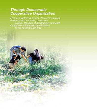 Through Democratic Cooperative Organization - Promote sustained growth of forest resources. Enhance the economic, social and cultural standing of cooperative members. Contribute to balanced development  in the national economy.
