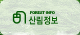 FOREST INFO 긲